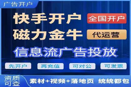 网络推广中的竞价广告：成功案例解析